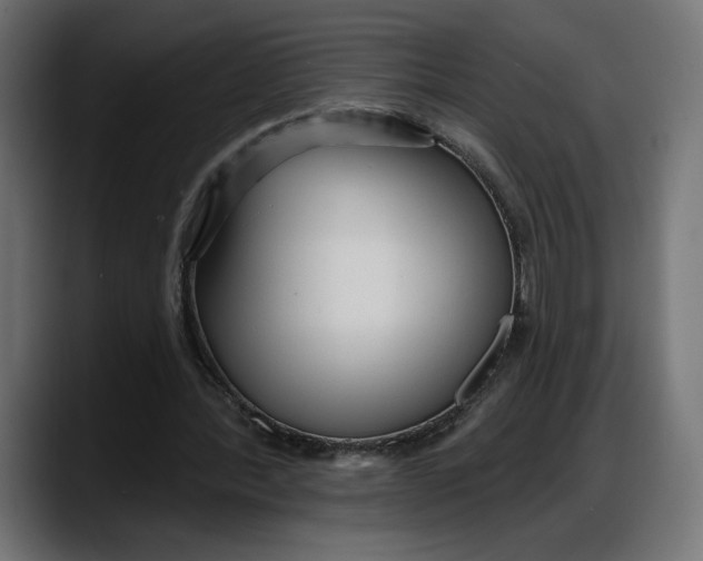 X0000087740388200705291017