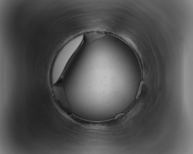 X0000087740389200705291017