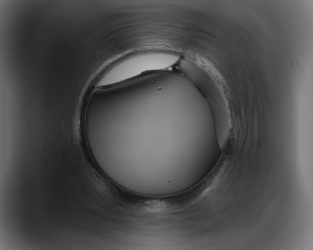 X0000087740391200705291017