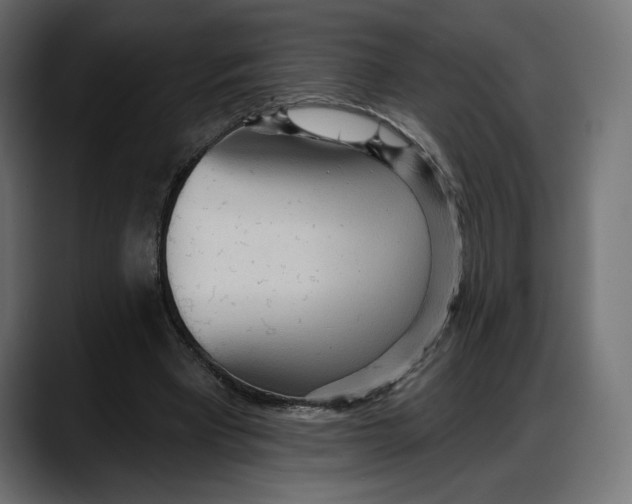 X0000087740393200705291017