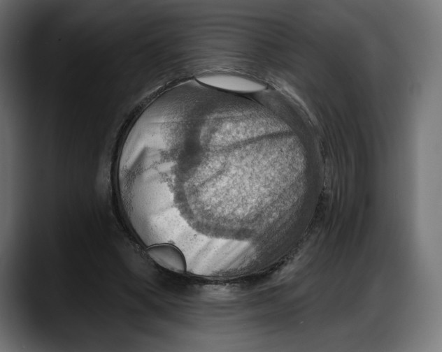 X0000087740394200705291017
