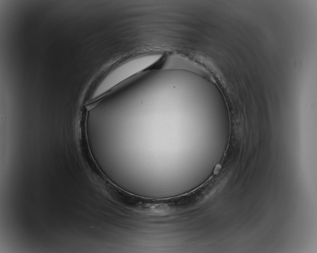 X0000087740395200705291017