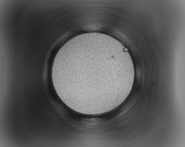 X0000087740396200705291017