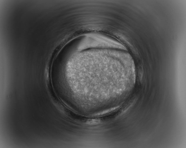 X0000087740398200705291017