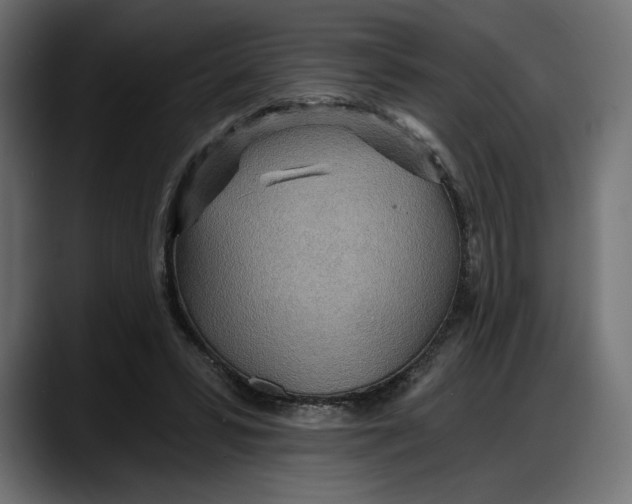 X0000087740399200705291017
