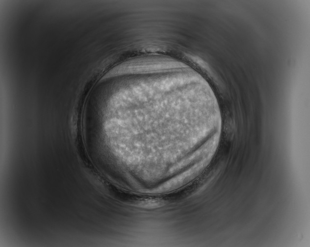 X0000087740402200705291017