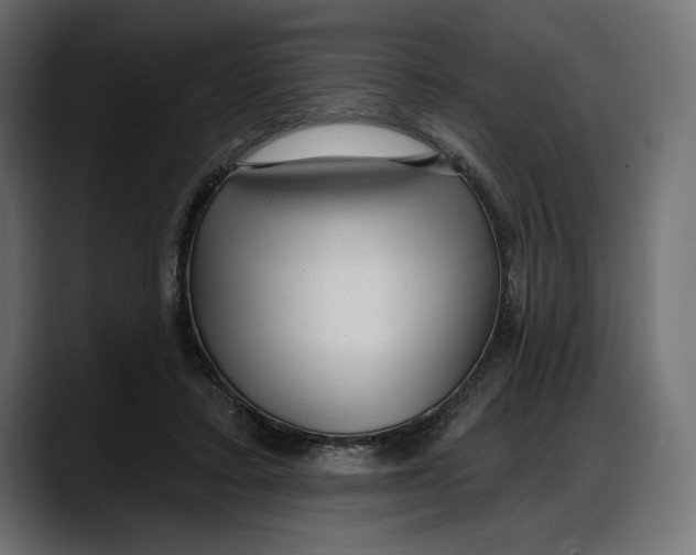 X0000087740403200705291017