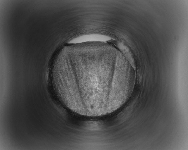 X0000087740404200705291017