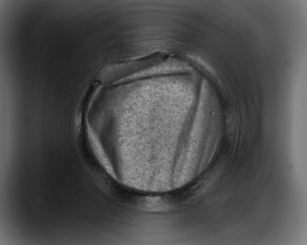X0000087740406200705291017