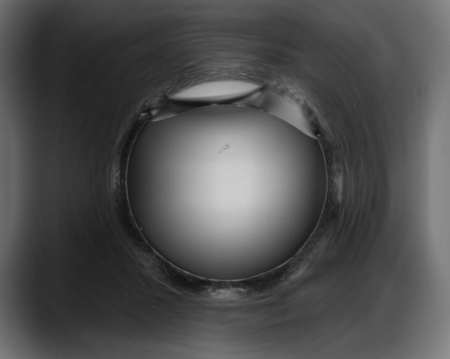 X0000087740407200705291017
