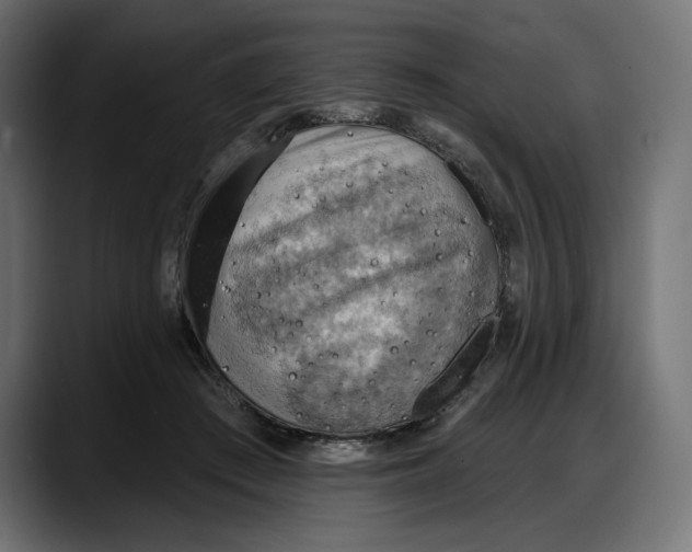 X0000087740409200705291017