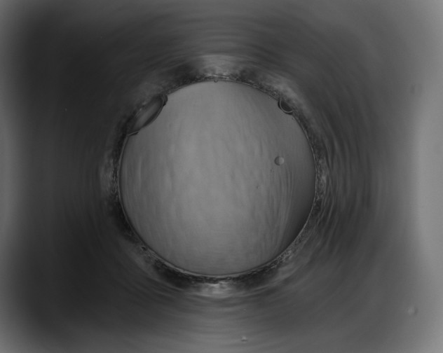 X0000087740411200705291017