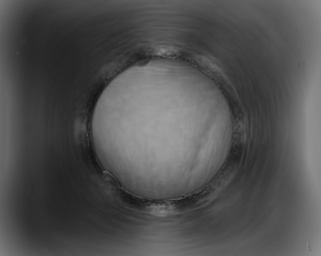 X0000087740415200705291017