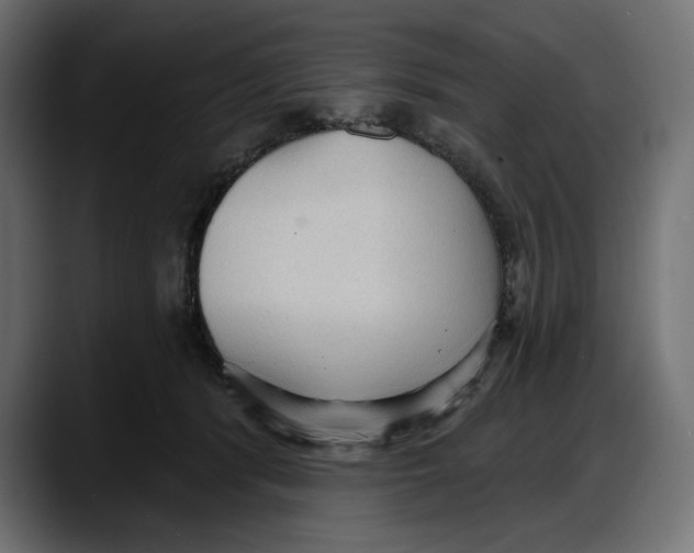 X0000087740416200705291017