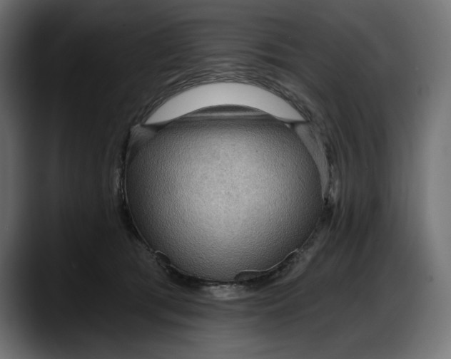 X0000087740417200705291017