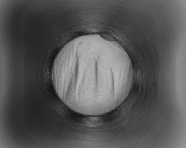 X0000087740418200705291017