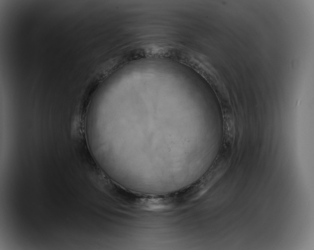 X0000087740419200705291017
