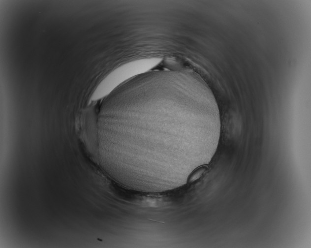 X0000087740420200705291017