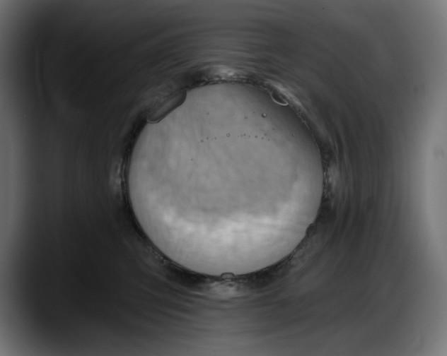 X0000087740423200705291017