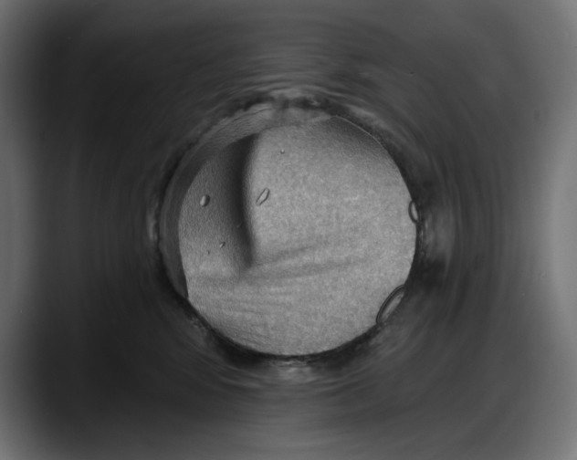X0000087740424200705291017