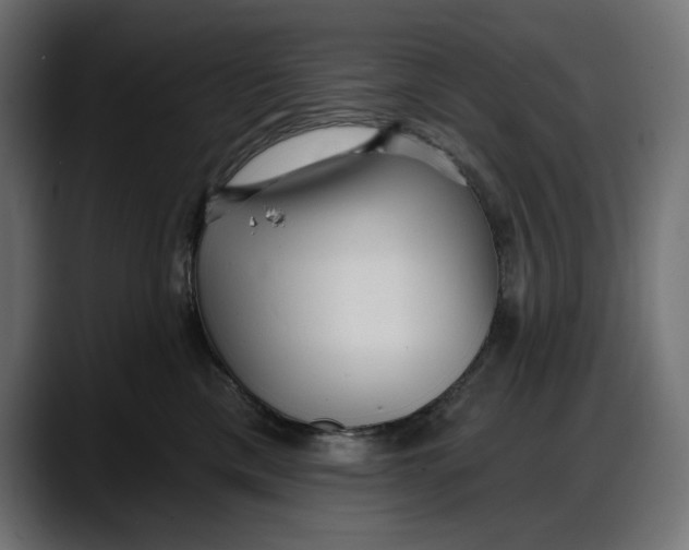 X0000087740425200705291017