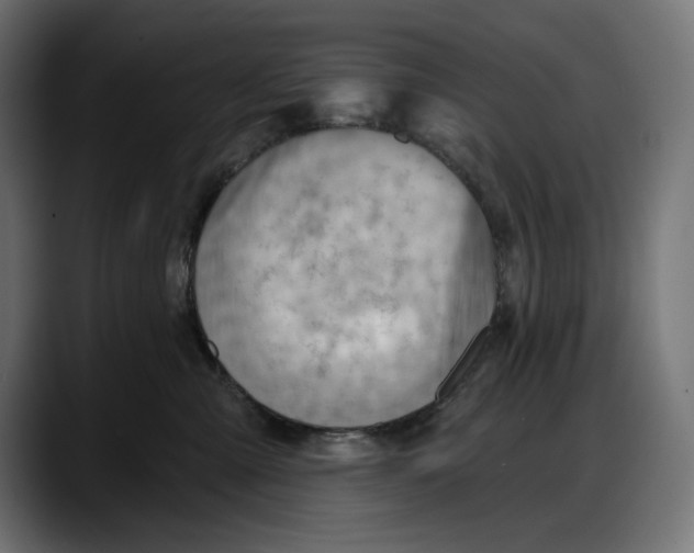 X0000087740427200705291017
