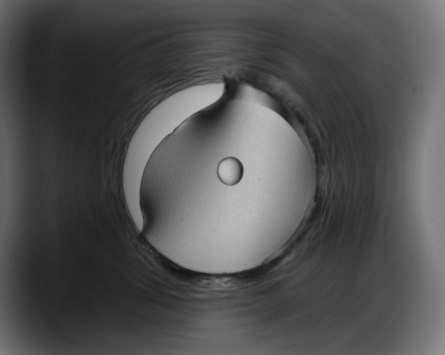 X0000087740428200705291017