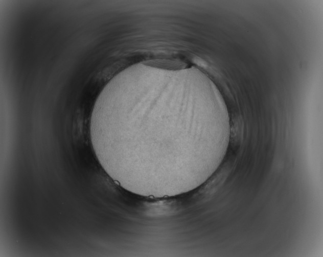 X0000087740430200705291017