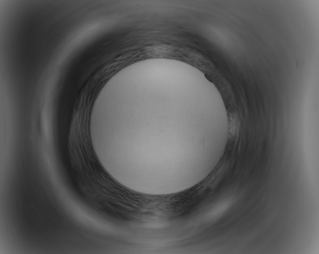 X0000087740431200705291017