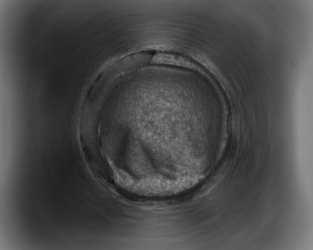 X0000087740434200705291016
