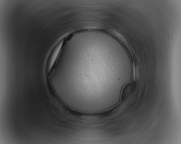 X0000087740435200705291016