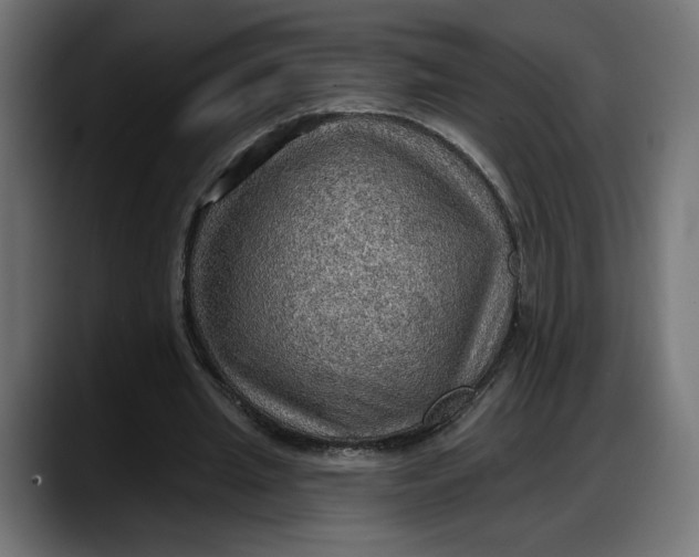 X0000087740437200705291016