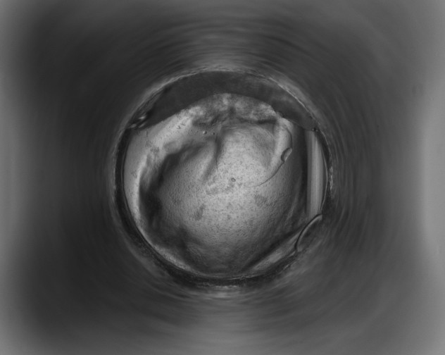 X0000087740438200705291016