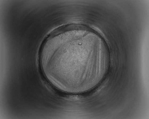 X0000087740439200705291016