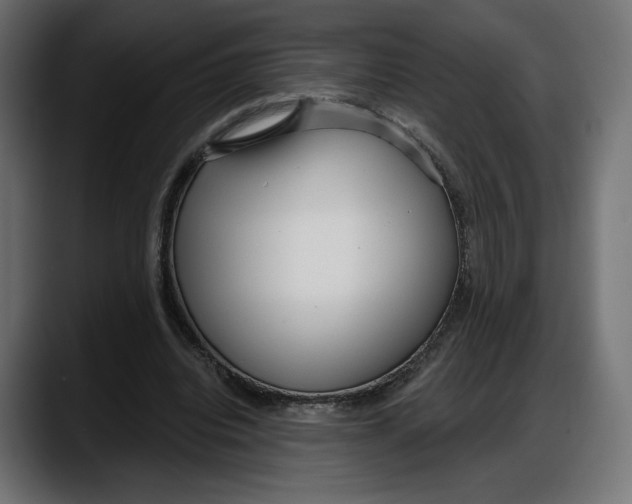 X0000087740440200705291016