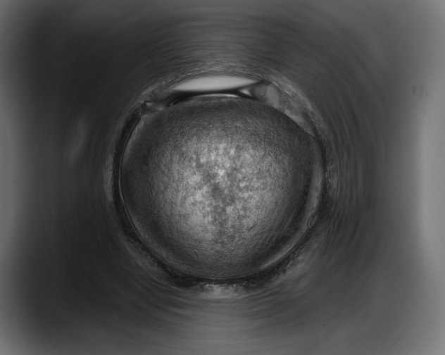 X0000087740442200705291016