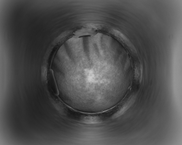 X0000087740444200705291016