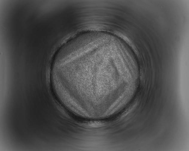 X0000087740445200705291016