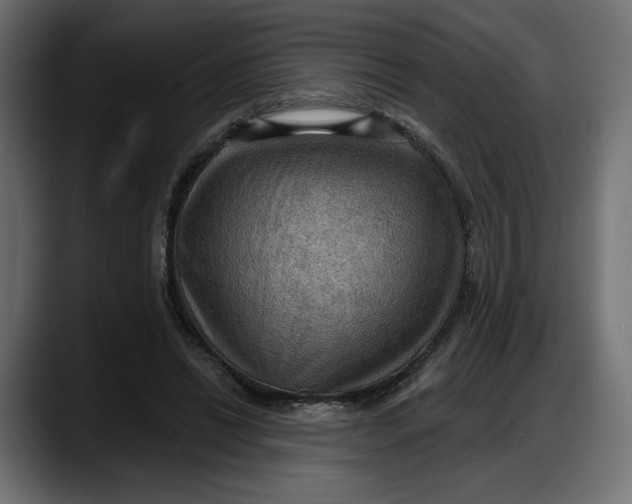 X0000087740446200705291016