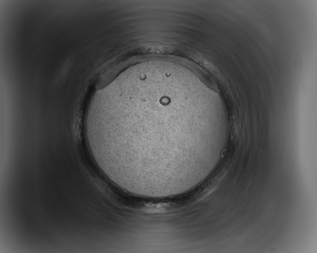 X0000087740450200705291016