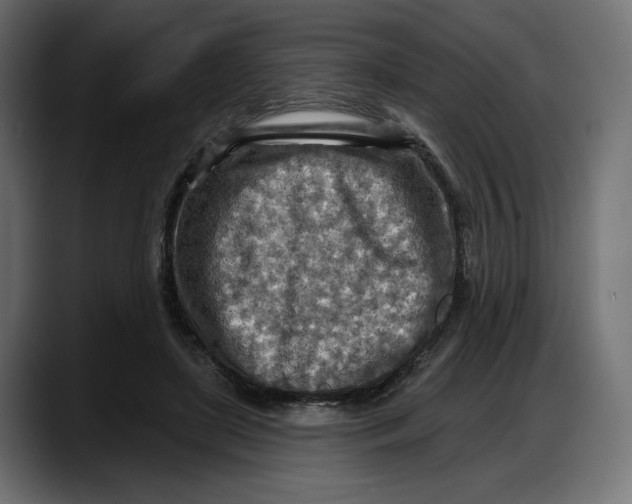 X0000087740451200705291016