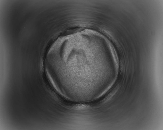 X0000087740453200705291016