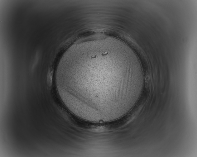 X0000087740454200705291016