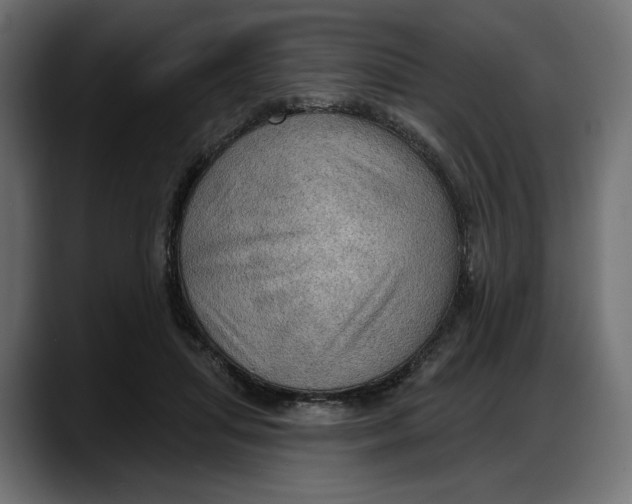 X0000087740455200705291016