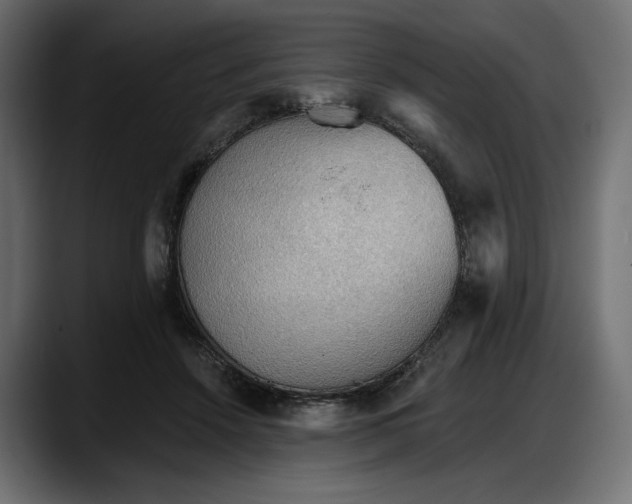 X0000087740456200705291016
