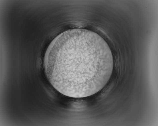 X0000087740459200705291016