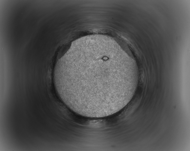 X0000087740461200705291016