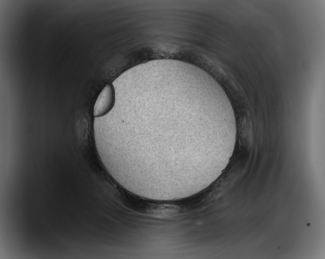 X0000087740463200705291016