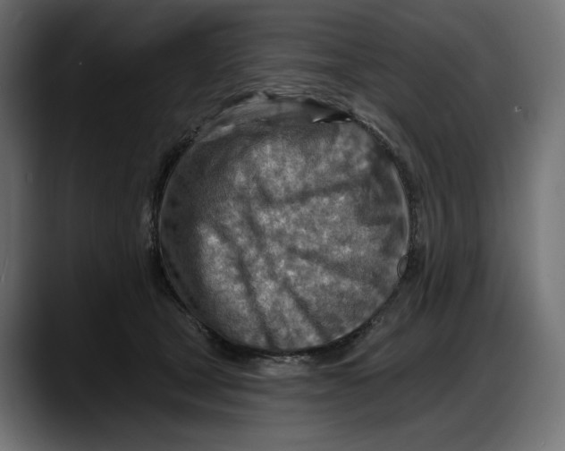 X0000087740465200705291016