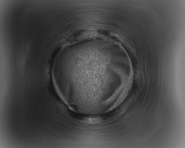 X0000087740466200705291016
